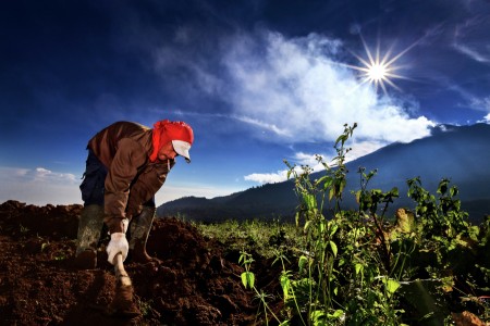 Farming...