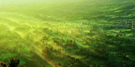 Early light in Cemoro Lawang