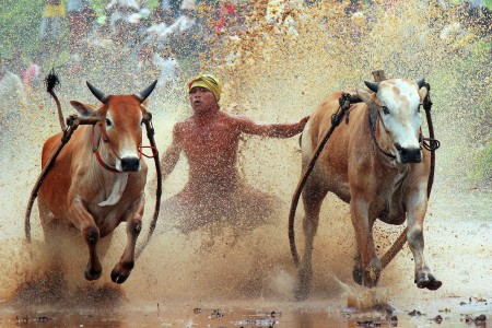 Sprinted toward the finish line.