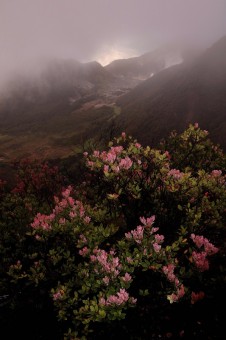 Misty Mountain