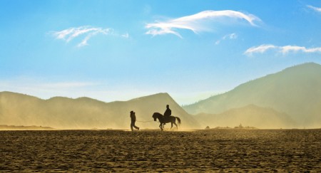 Two Guys One Horse
