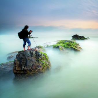 The Beauty Of Pandak