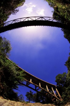 Under the Bridge