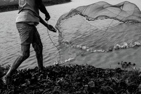 Fishing