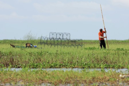 Mangaramba