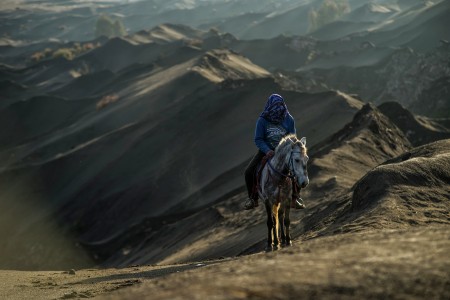 Tengger Horseman