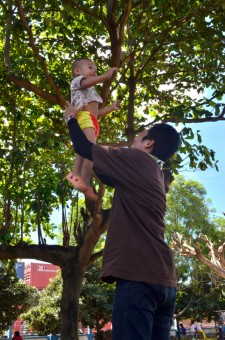 Fly! Little Baby