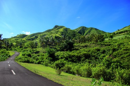 go green