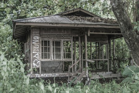 Lost Bungalow