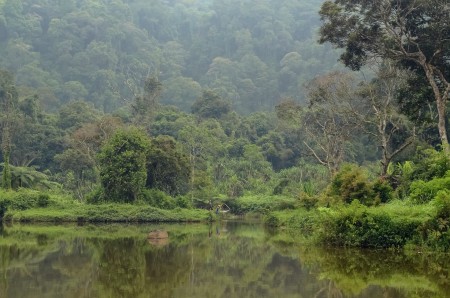 Fieldsmen at Situ Gunung Lake