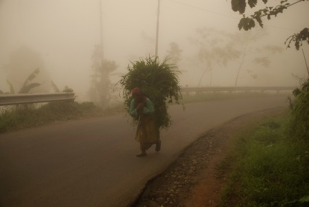 Women and Fog