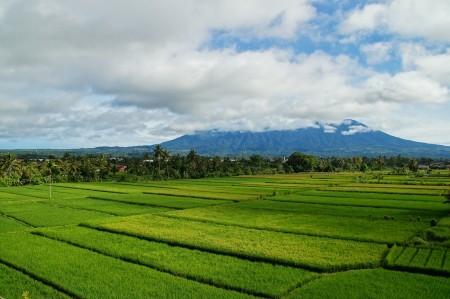 Gunung Gede Above A Sea of Green
