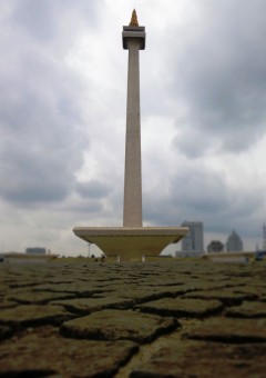 MONAS