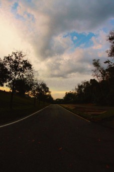Silent Street