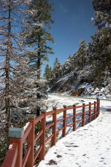 the red bridge
