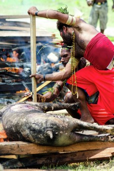 Pesta Barapen