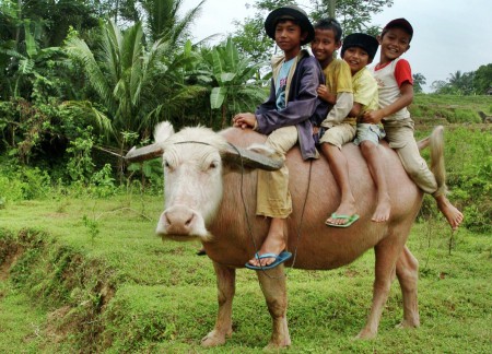Anak gembala