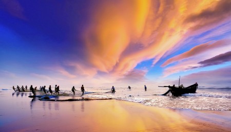 The Sea Creatures