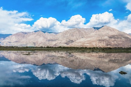 UNDISCOVERED PANORAMA