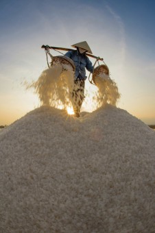 Working on a salt field