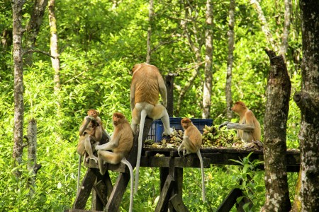 Family Gathering