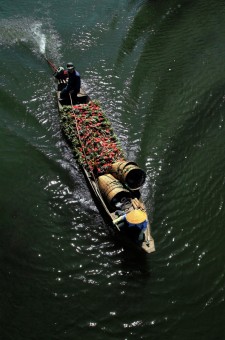 Going to Market