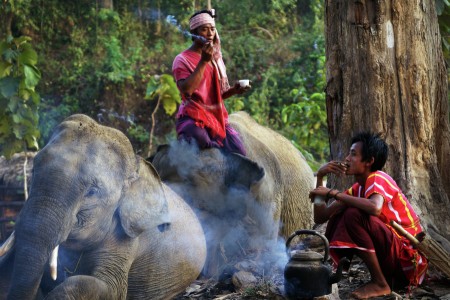 Tea Break