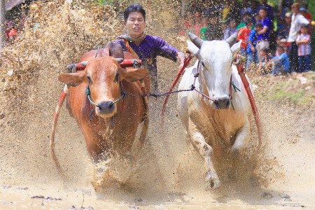 The Rider