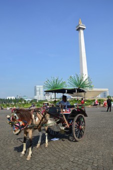 Delman in Monas