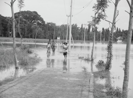 fenomena alam