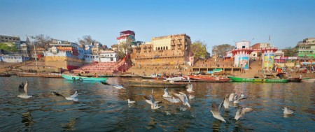 Birds of Varanasi