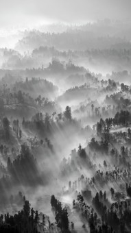 Misty Village