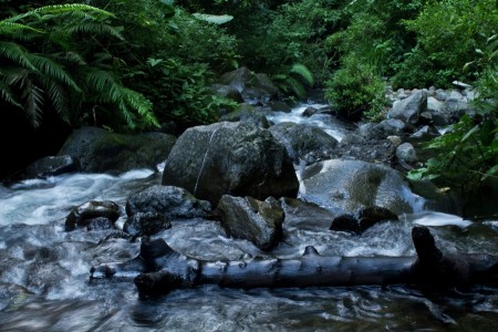 WATER TRAILED