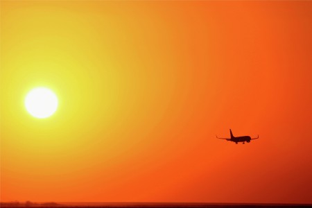 Fly away