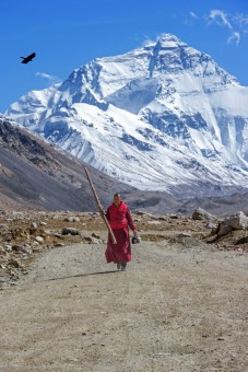Monk from The North Face