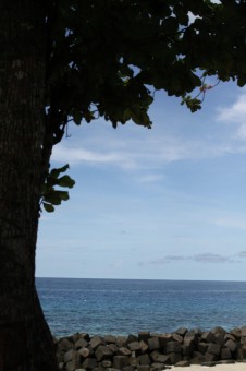 window of paradise