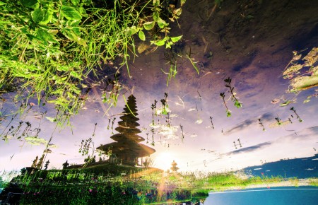 Recompose The Famous