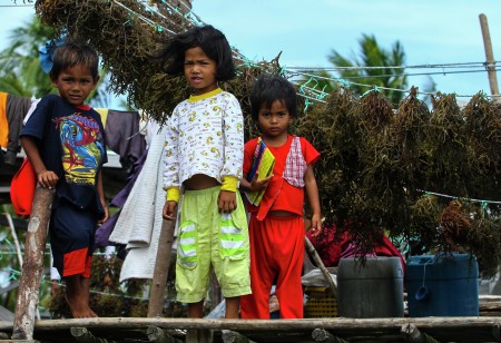 BAJAU