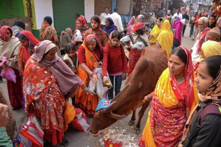 Gouw mata poojan