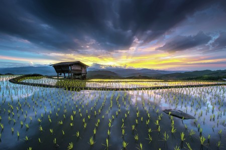 Mae Jam rice terraces