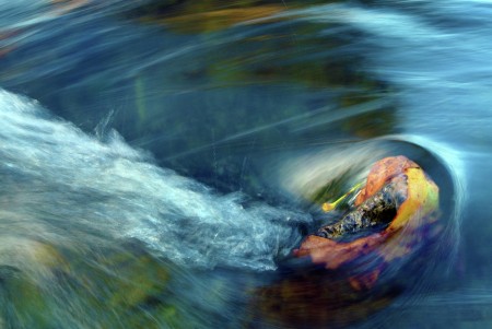 Swirl of Nature