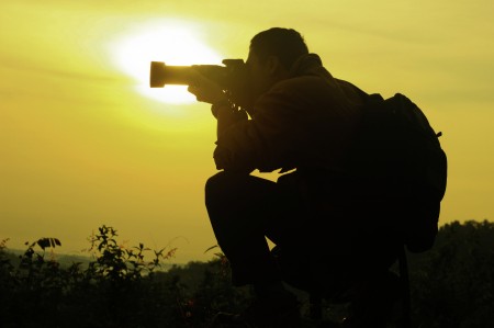 Wildlife Photographer