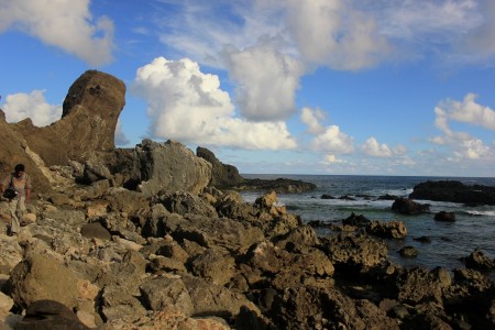 Big Coral Reef