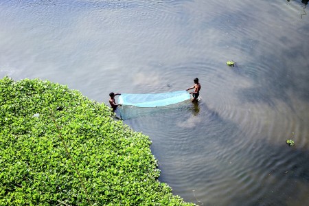 Life on water