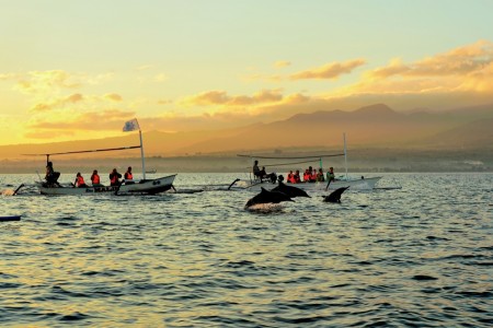 Amazing Lovina Beach