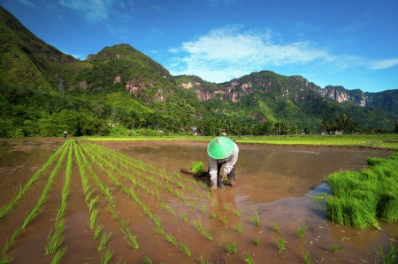 The spirit of the morning