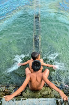 Water Vs. Oil