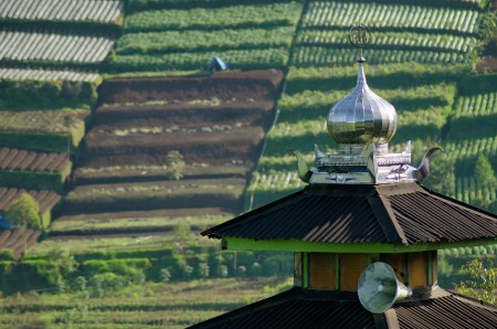 The crown of mosque