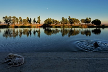 Reflection of Life
