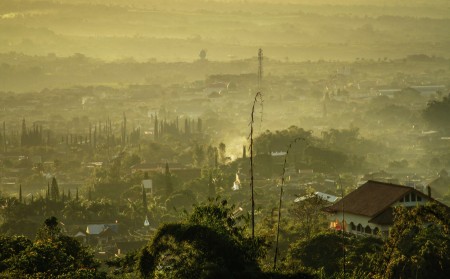 Misty landscapes